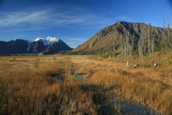 From Campground