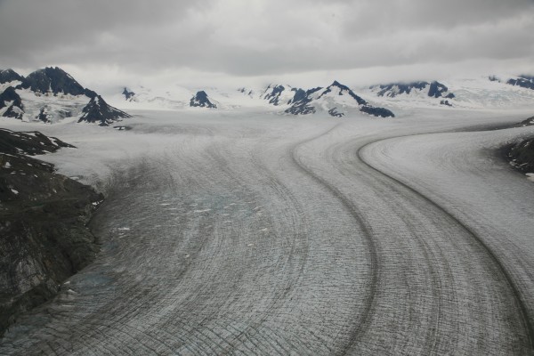 Glacier Bay N.P.