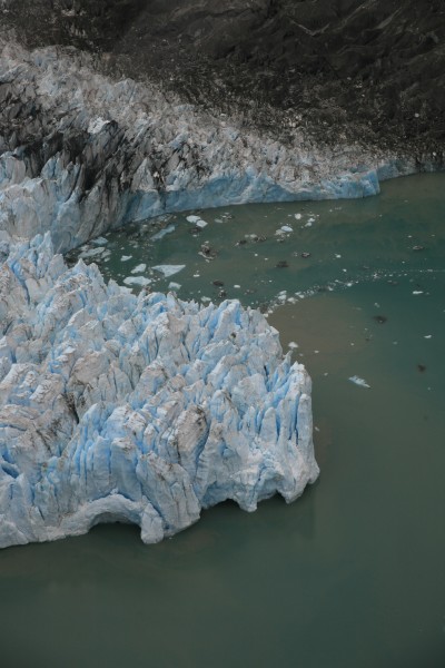 Glacier Bay N.P.