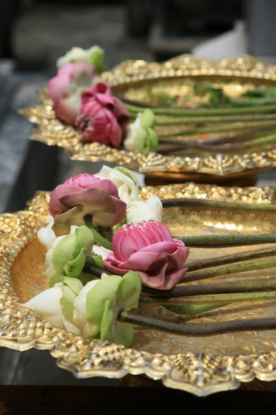 Offerings