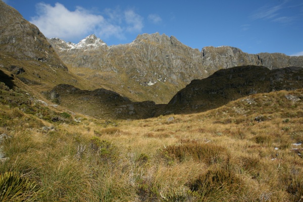 Alpine scenery