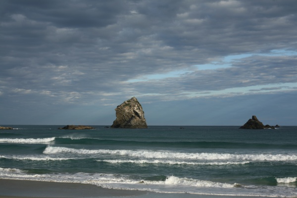Sandfly bay, Otago peninsula