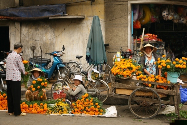 Flowers for Tết