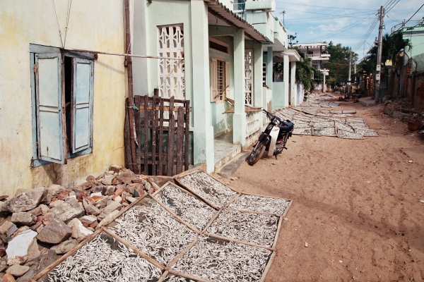 Drying fish
