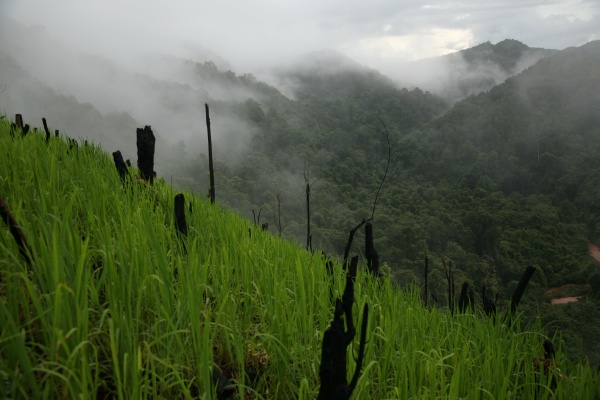 Trekking through mountain rice fields