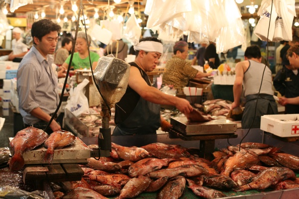 Tokyo fish market